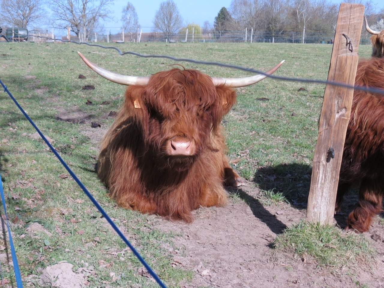 2012 04 21 Ornitho à Gambaiseuil 16